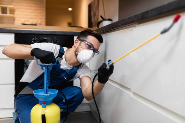 Best Best Pest Control Companies  in Grambling, LA