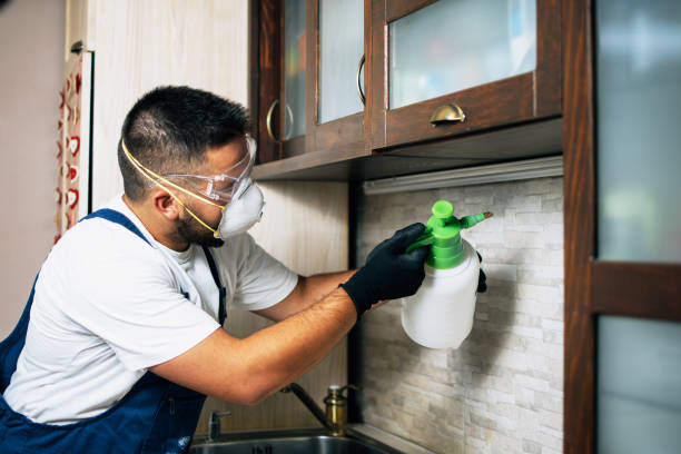 Best Emergency Pest Control  in Grambling, LA