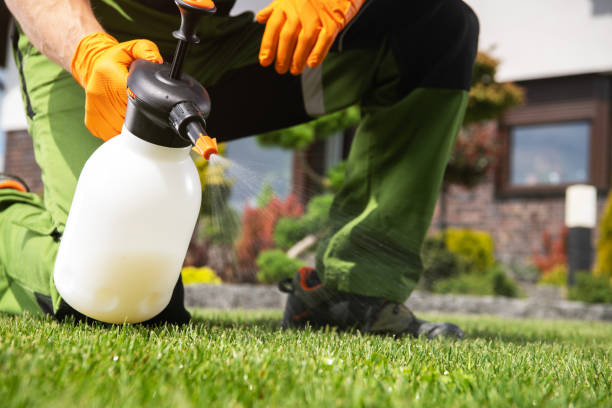 Best Wasp Removal Services  in Grambling, LA