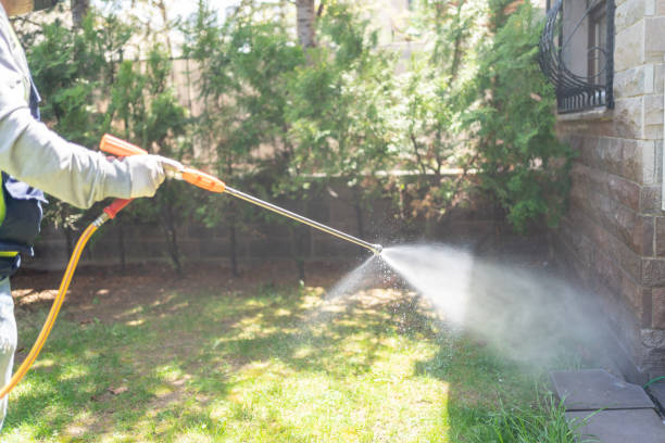 Bird Control in Grambling, LA