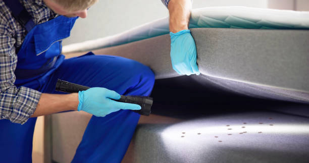 Pest Prevention Services in Grambling, LA