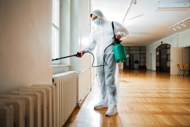 Wasp Removal Services in Grambling, LA